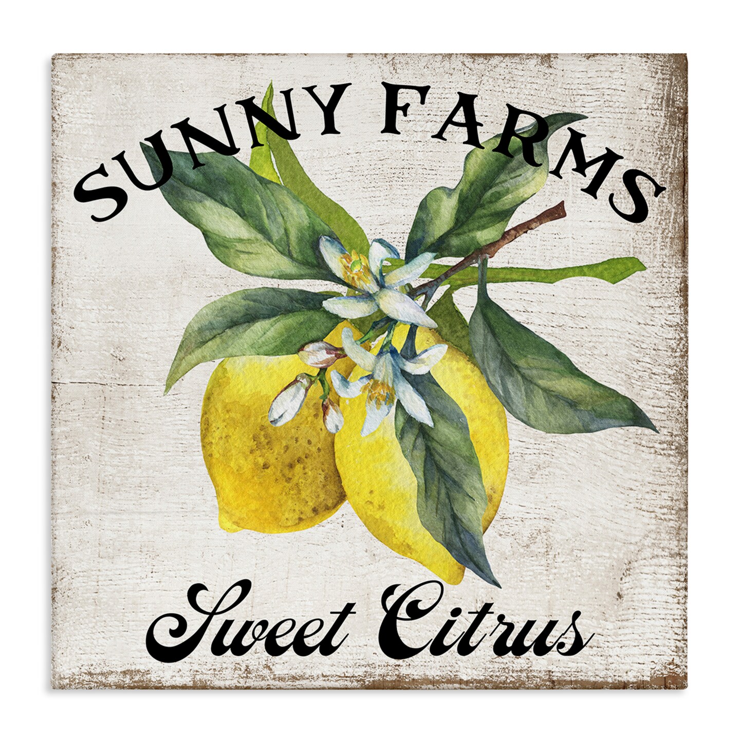 Stupell Industries Sunny Farms Sweet Lemon Canvas Wall Art Design by Creatif Belle