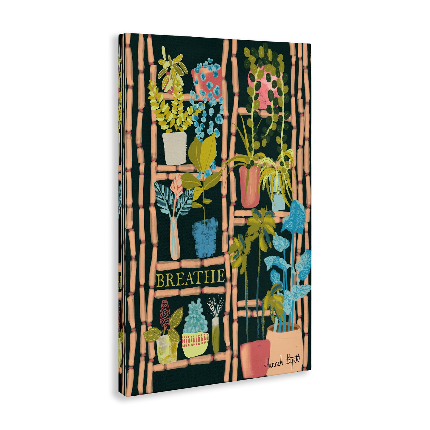 Stupell Industries Plant Shelf on Black Canvas Wall Art Design by Hannah Byatt