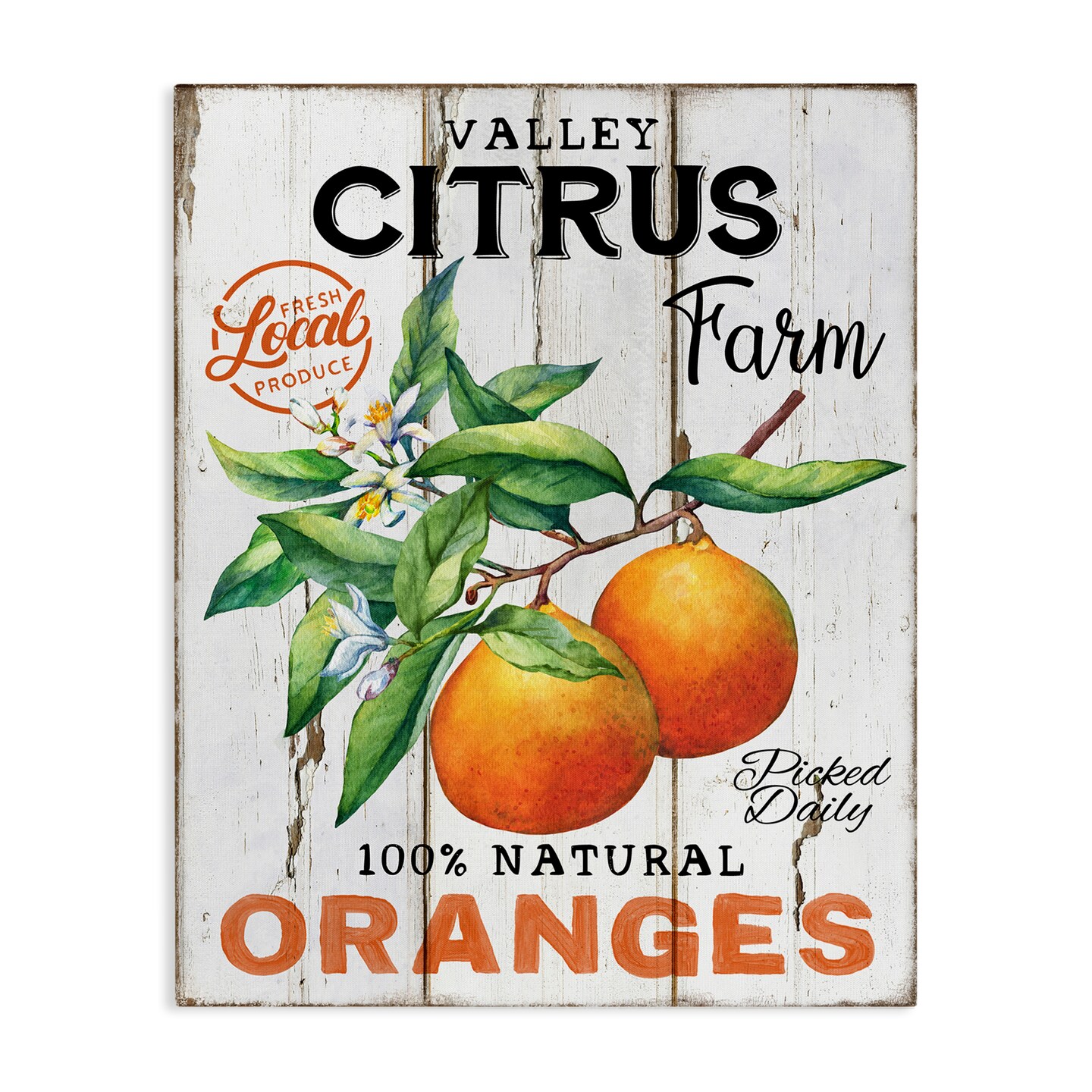 Stupell Industries Retro Citrus Farm Canvas Wall Art Design by Creatif Belle