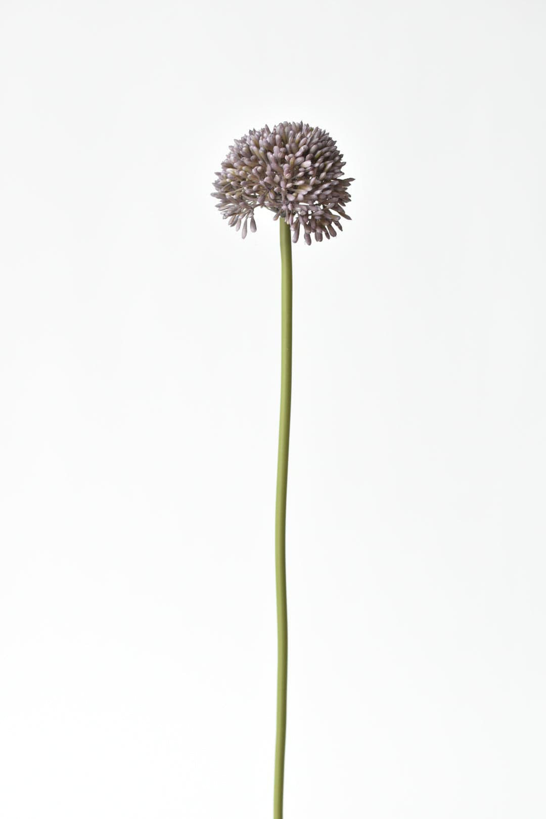 17.5&#x22; Faux Purple Allium Spray Stem