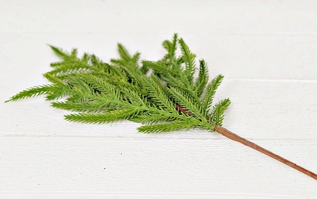 18&#x22; Artificial Norfolk Pine Spray &#x2013; Soft Touch Evergreen Stem for Christmas Decor &#x26; Crafts-510706