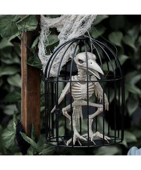 Skeleton Crow In Cage
