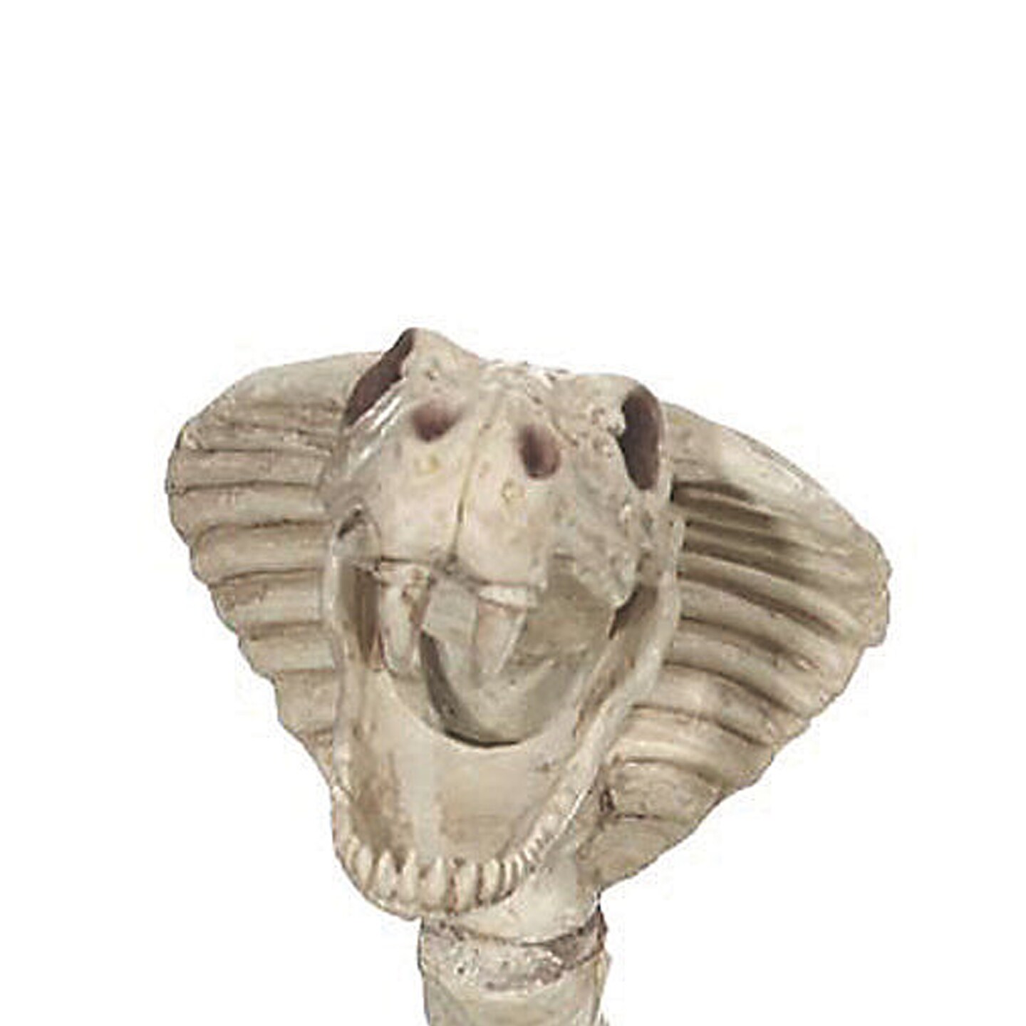 Skeleton Cobra Spooky Serpent
