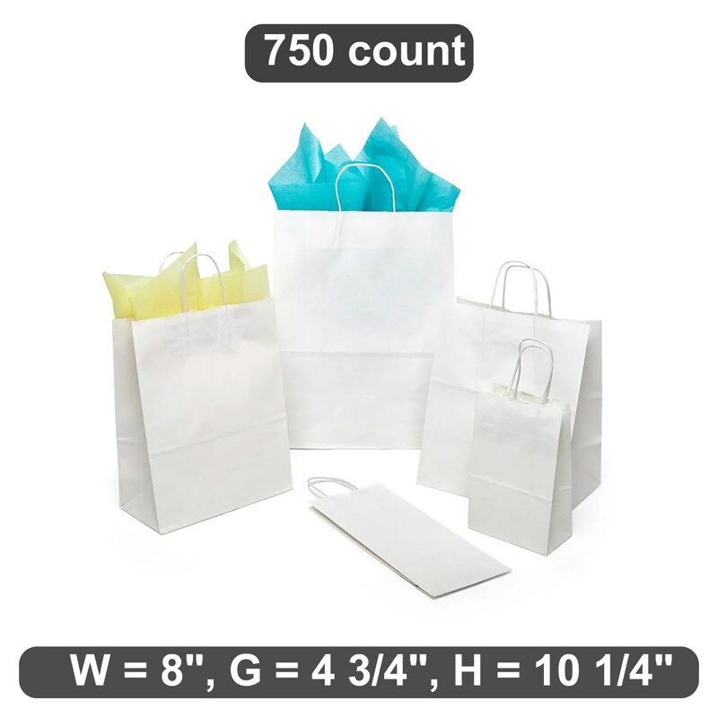 Functional Plain White Kraft Shopping Bag 8" x 4 3/4" x 10 1/4"