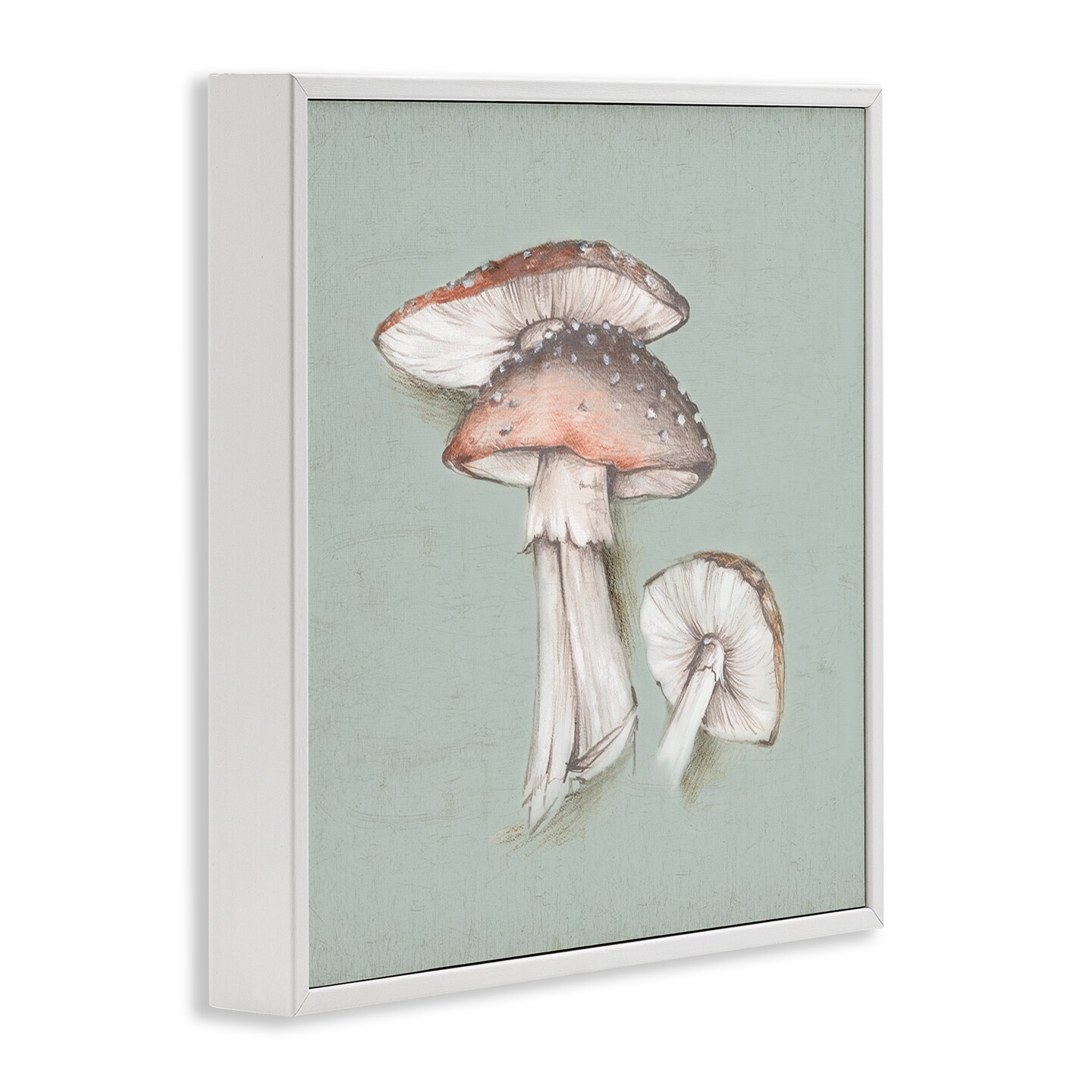 Stupell Industries Mushroom Bunch Drawing Framed Giclee Wall Art Design by Eli Jones