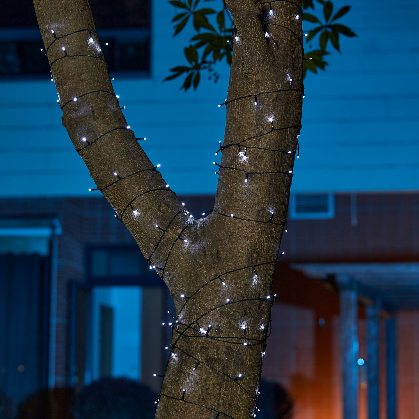 Set of 2 72 ft. Solar String Light with 200 LED Lights