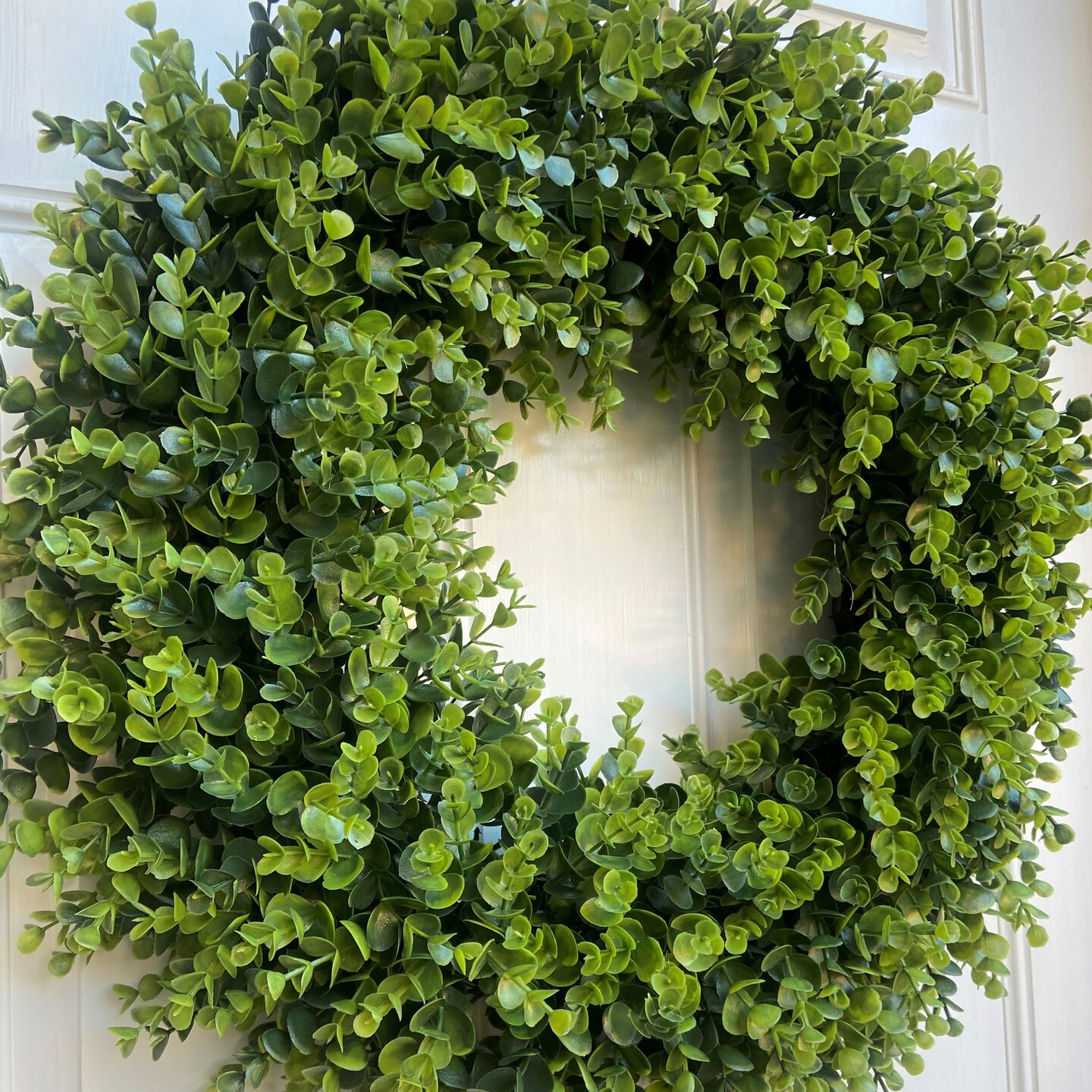 Haute Decor 24 Inch Premium Artificial Boxwood Wreath - Spring or Summer Wreath for Front Door - Boxwood Artificial Greenery with Natural Grapevine Base
