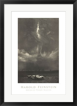 Framed Art Sheep Under Clouds, 1958 by Harold Feinstein - Serene Black & White Photography | 26x17