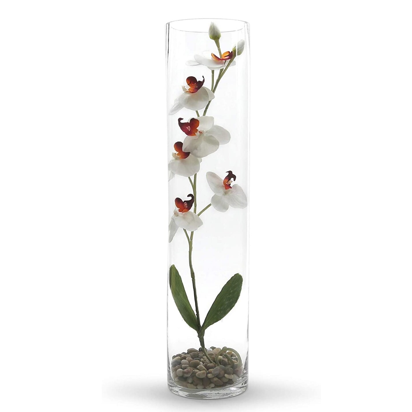 Crystal Clear Slim Glass Cylinder Vase Modern Table Centerpiece