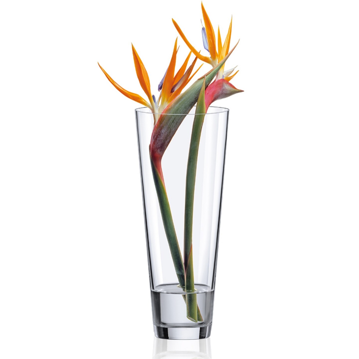Modern Clear Glass Conical Vase in Tall Dining Table Centerpiece