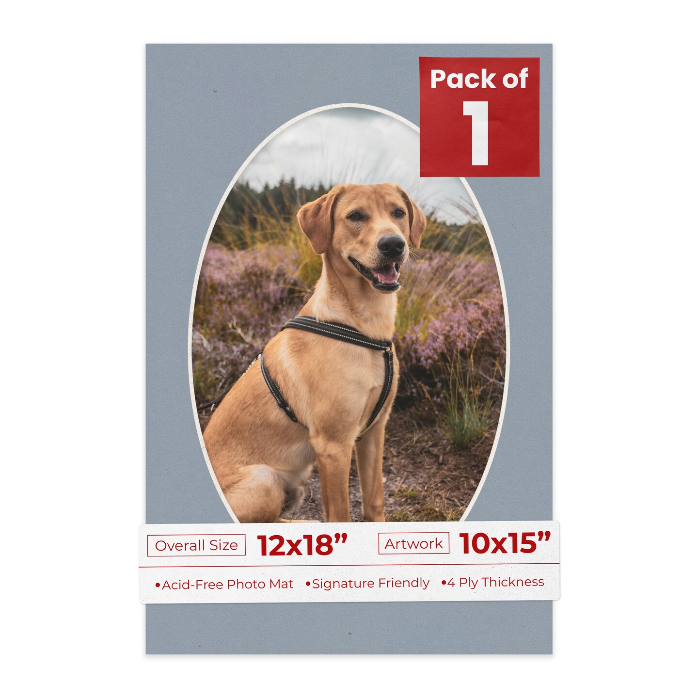 Mid Grey Mat Board for 12x18 Frames - Oval Opening for 10x15 Photos