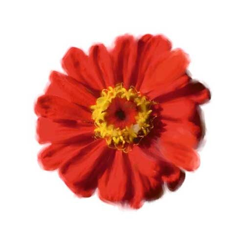 Petales Rouges II by Tasmin Phoenix Wall Art Décor 11 3/4 x 11 3/4 Art Print