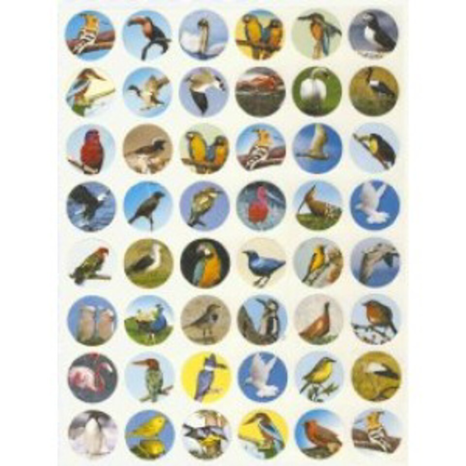 Bird Stickers 3/4&#x22; &#x2013; 480 Pack, 10 Sheets of Realistic Animal Stickers