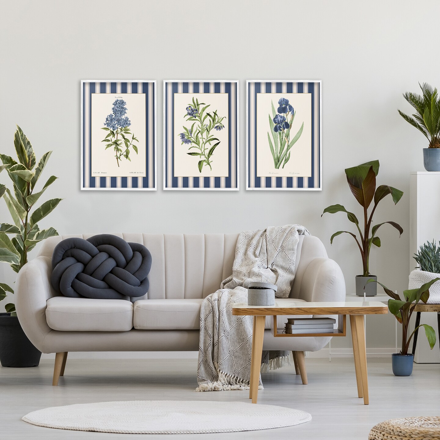 Stupell Industries Vintage Plant Studies over Stripes 3 Piece Black Framed Giclee Art Set, design by Corinne Haig