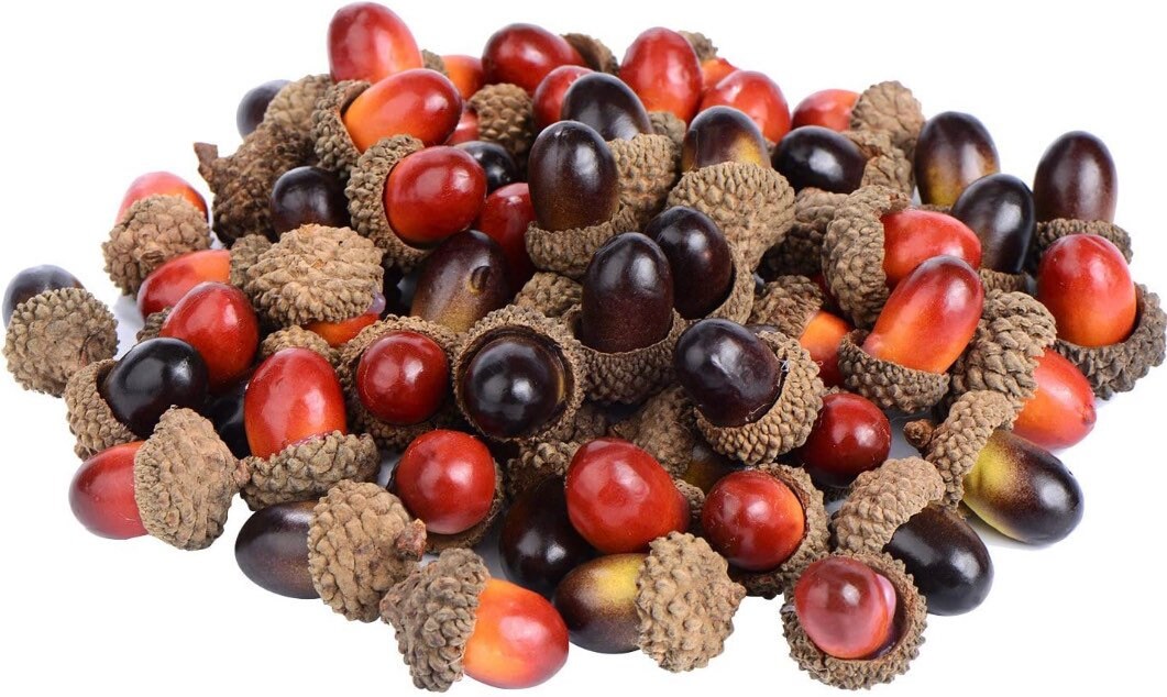 Acorns for Crafts, Wreaths, Ornaments, Resin and Trees - 20ct Artificial Acorns