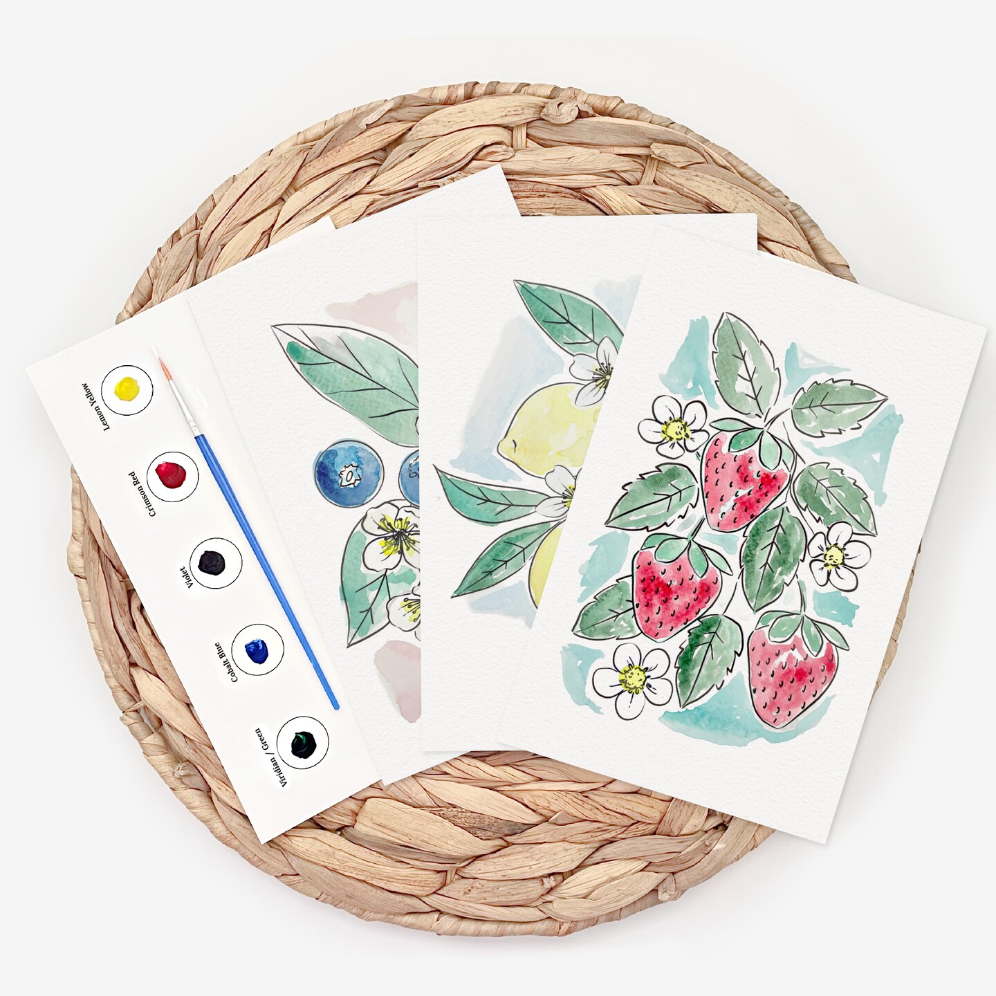 3PK Fruit Watercolor Paint Kit with Sketches, Brush and Palette