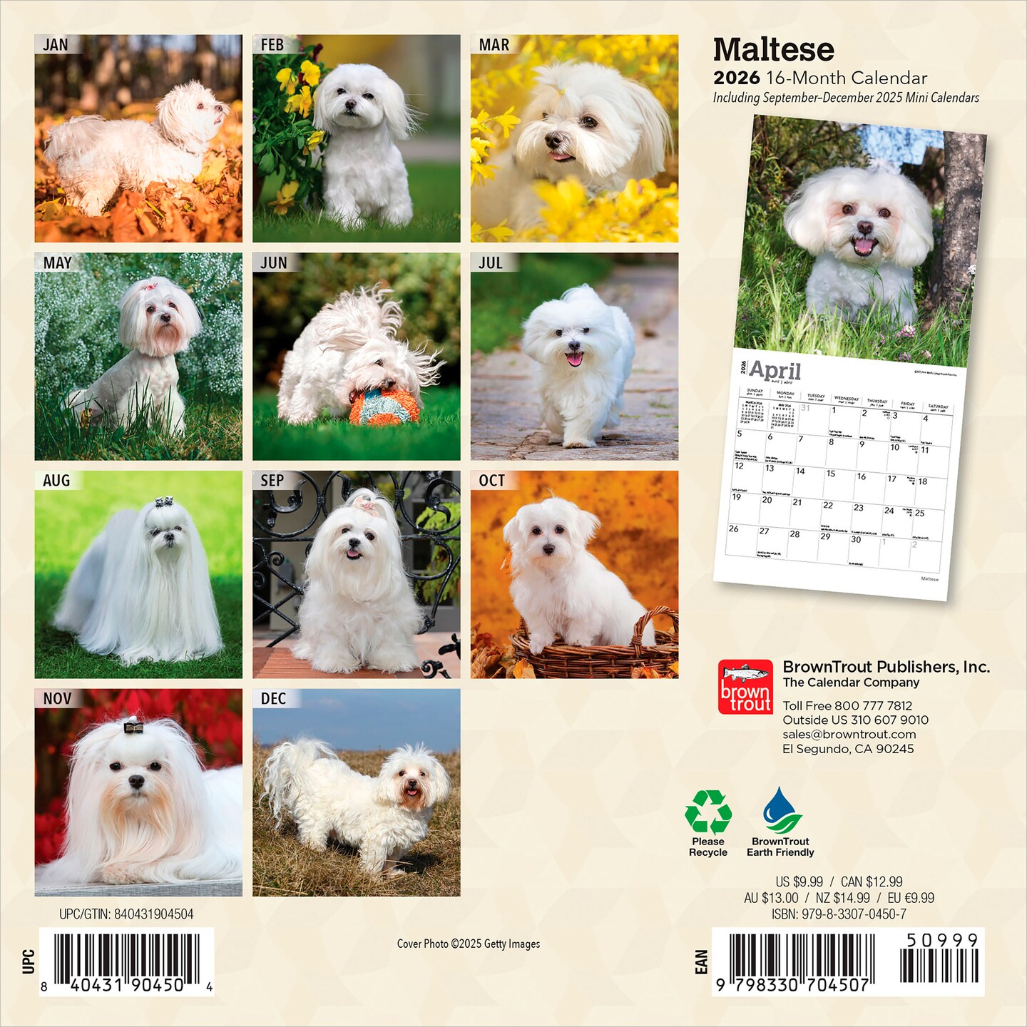 Maltese | 2026 7 x 14 Inch (Hanging) Monthly Mini Wall Calendar