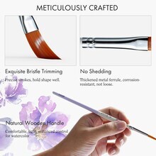 ARTIFY 9 PCS Floral Watercolor Brushes for Beginners & Pros | Artist Paint Brushes for Watercolor, Gouache & Acrylic | Round, Flat, Dagger, Cat’s Tongue, Detail Bruhes & Squirrel Hair Quill Brush