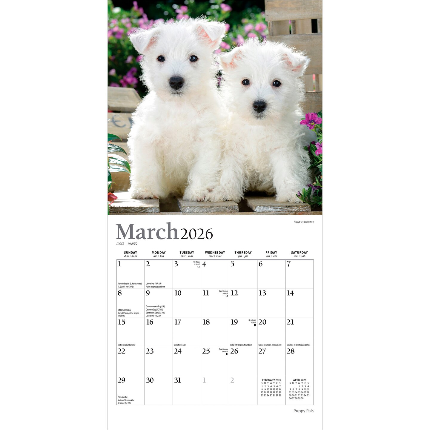 Puppy Pals | 2026 7 x 14 Inch (Hanging) Monthly Mini Wall Calendar | Foil Stamped Cover
