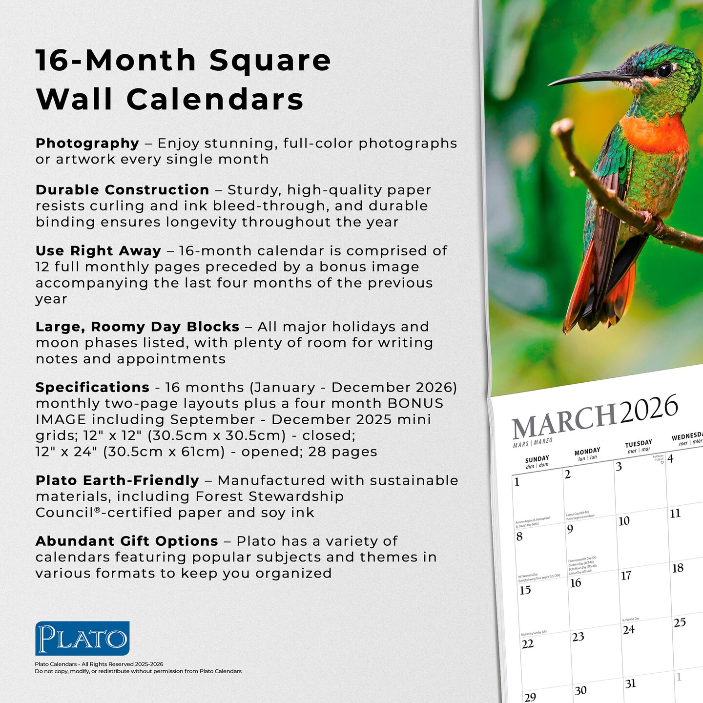 Hummingbirds | 2026 12 x 24 Inch (Hanging) Monthly Square Wall Calendar | Foil Stamped Cover