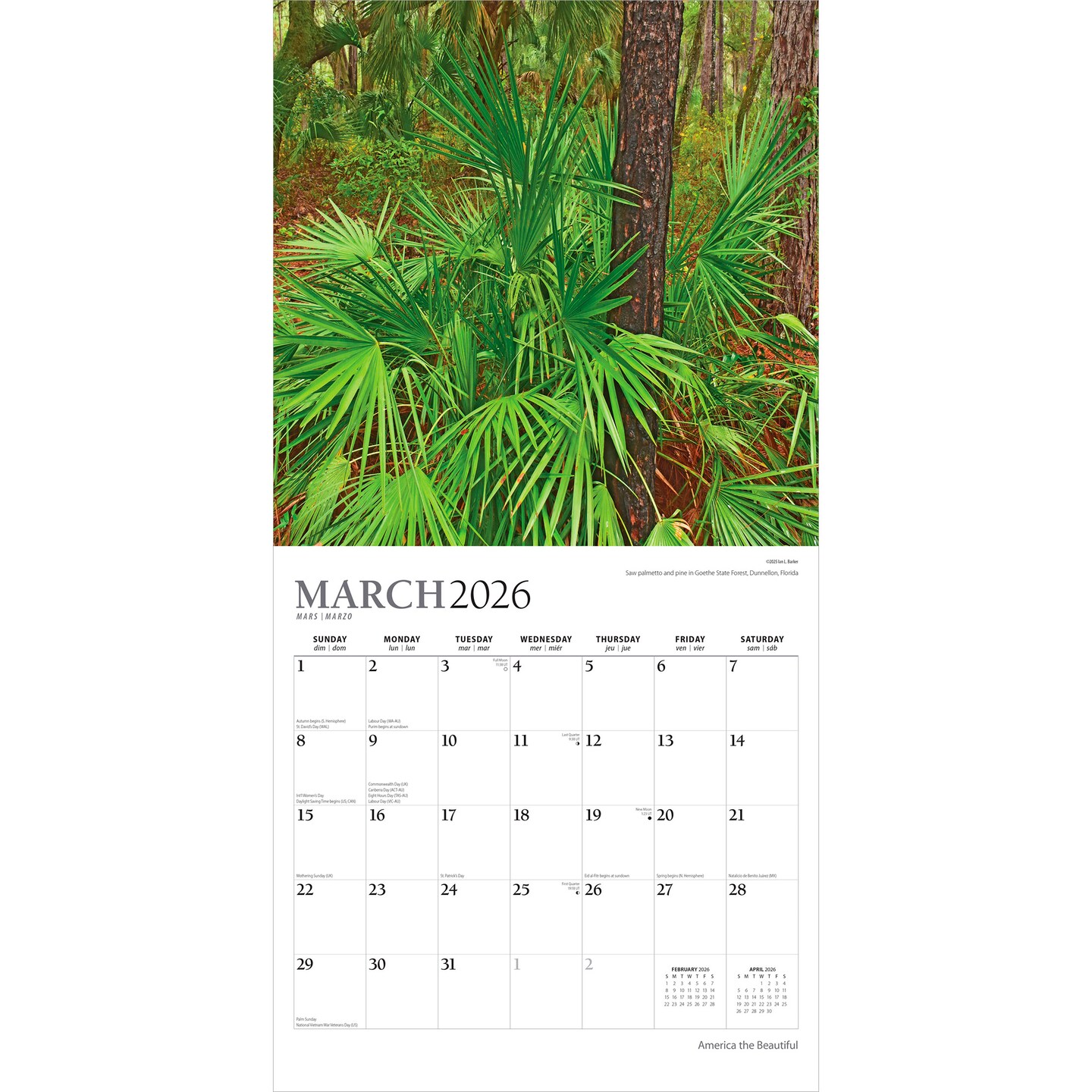 America the Beautiful | 2026 12 x 24 Inch (Hanging) Monthly Square Wall Calendar | Foil Stamped Cover