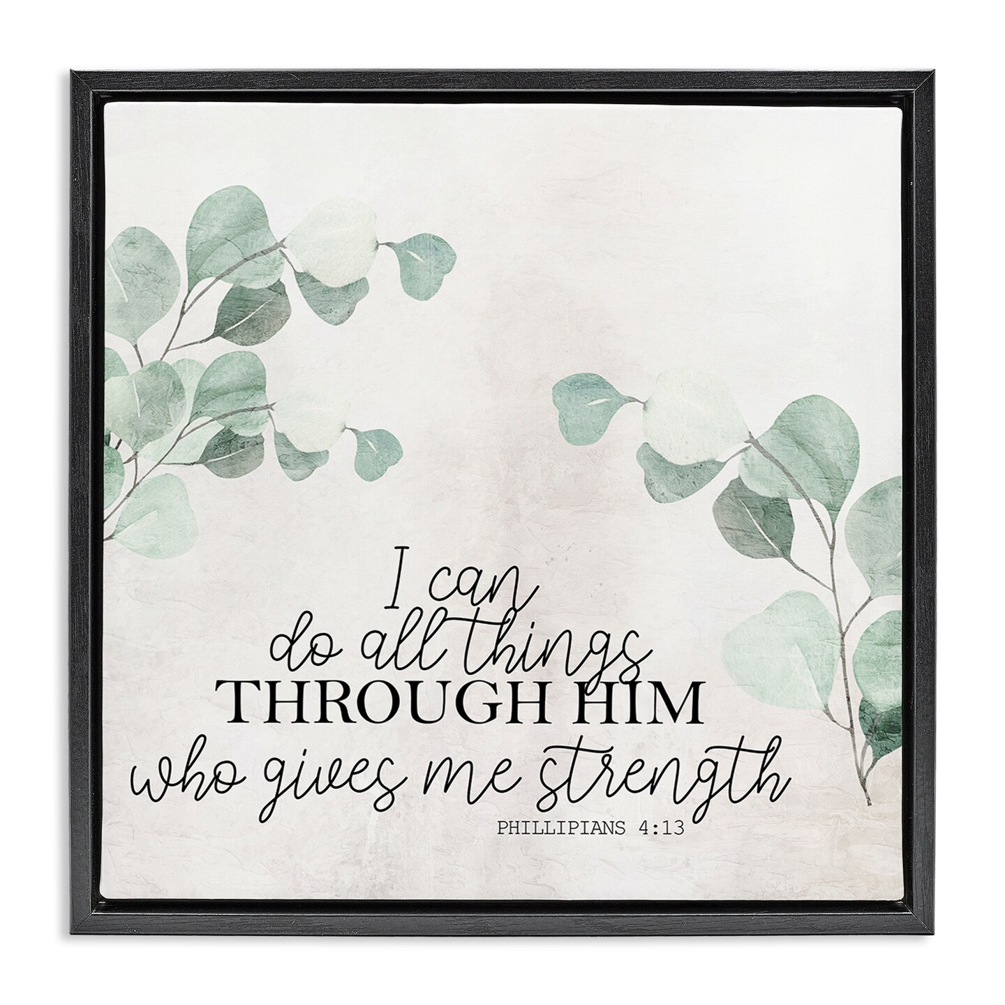 Proverb Frame Stupell Industries All Things Through Him Proverb Floating Frame By Kim ...