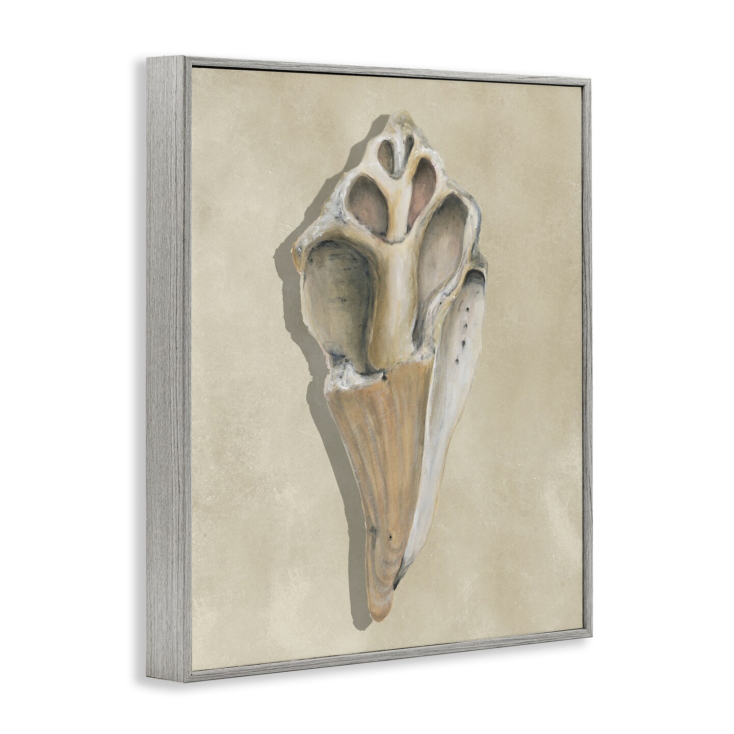 Stupell Industries Broken Conch Shell Framed Giclee By Michael Willett