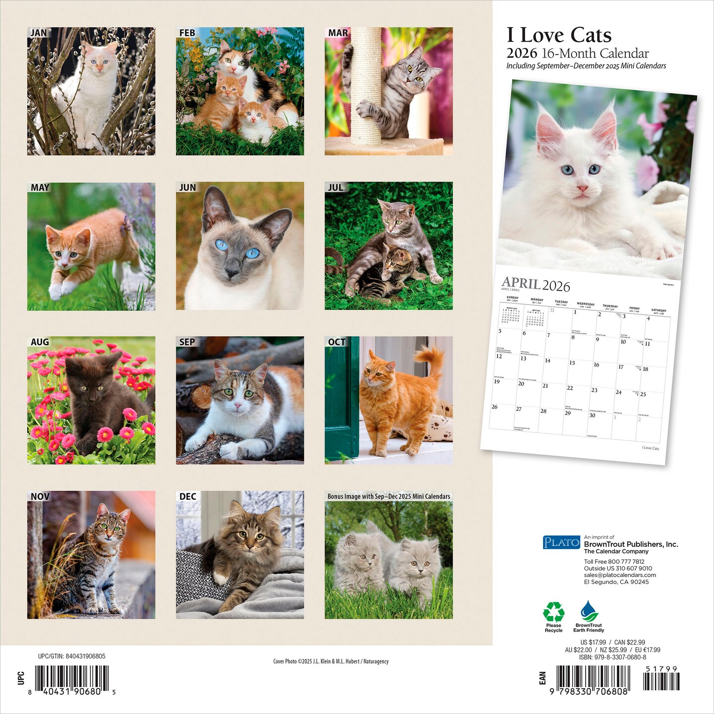 I Love Cats | 2026 12 x 24 Inch (Hanging) Monthly Square Wall Calendar | Foil Stamped Cover
