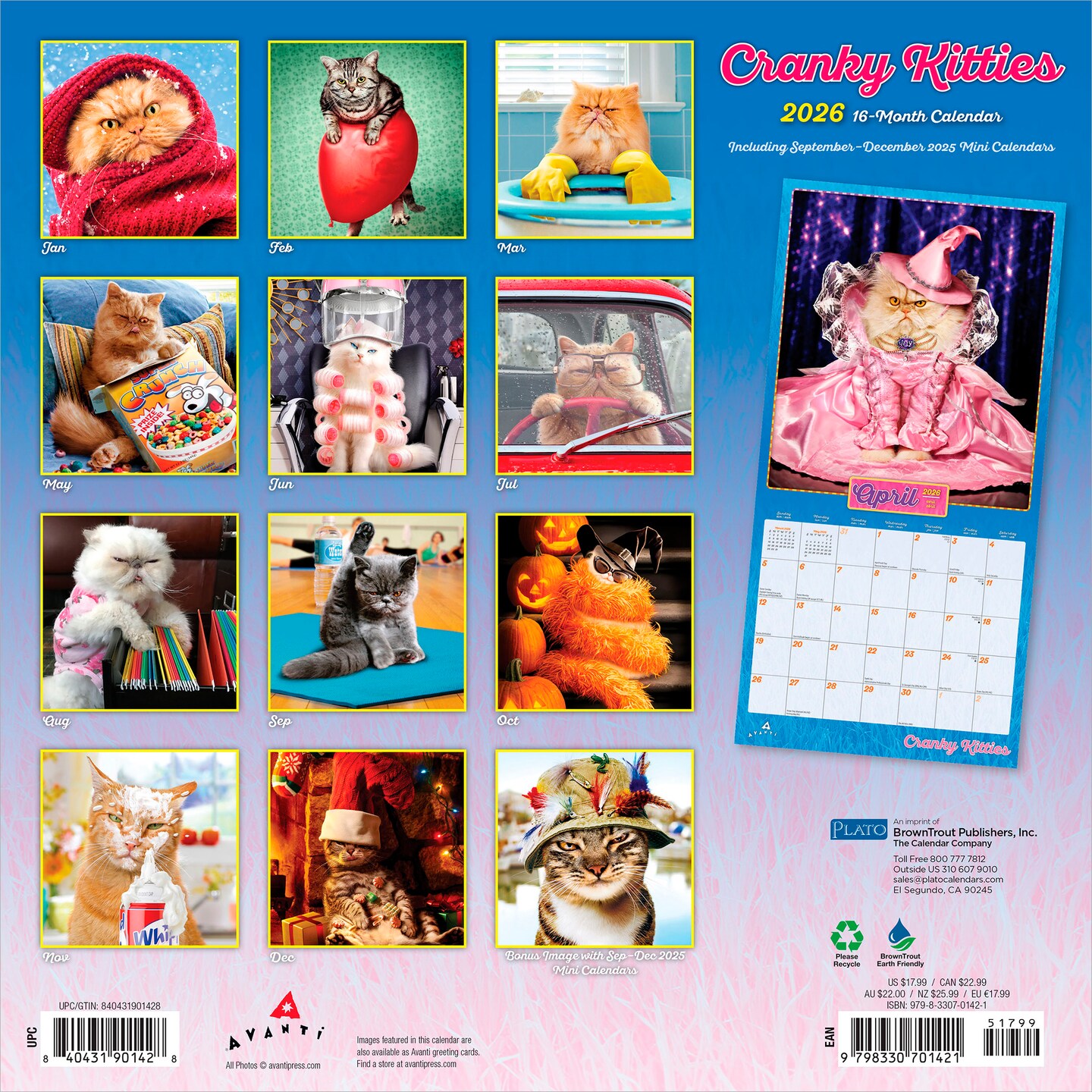 Avanti Cranky Kitties OFFICIAL | 2026 12 x 24 Inch (Hanging) Monthly Square Wall Calendar