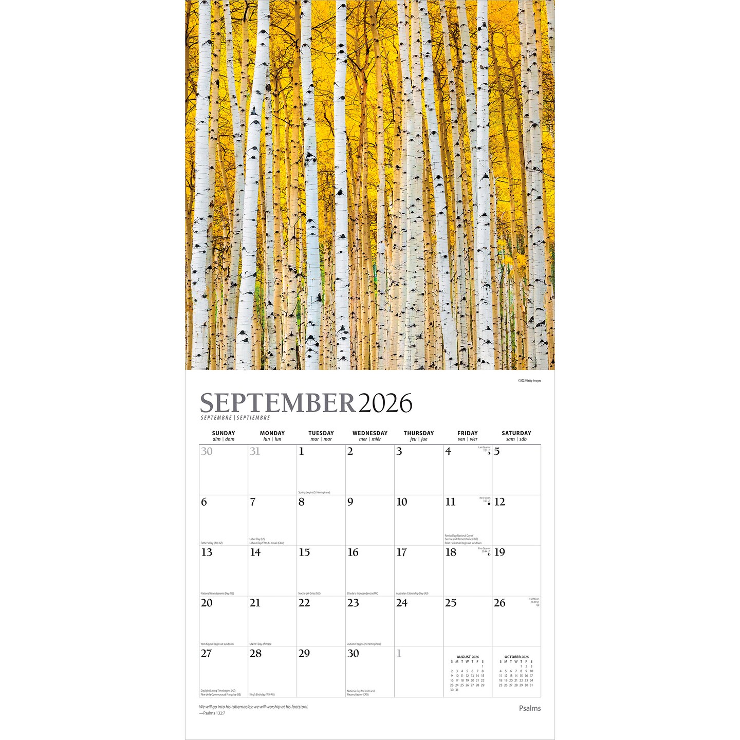 Psalms | 2026 12 x 24 Inch (Hanging) Monthly Square Wall Calendar | Foil Stamped Cover