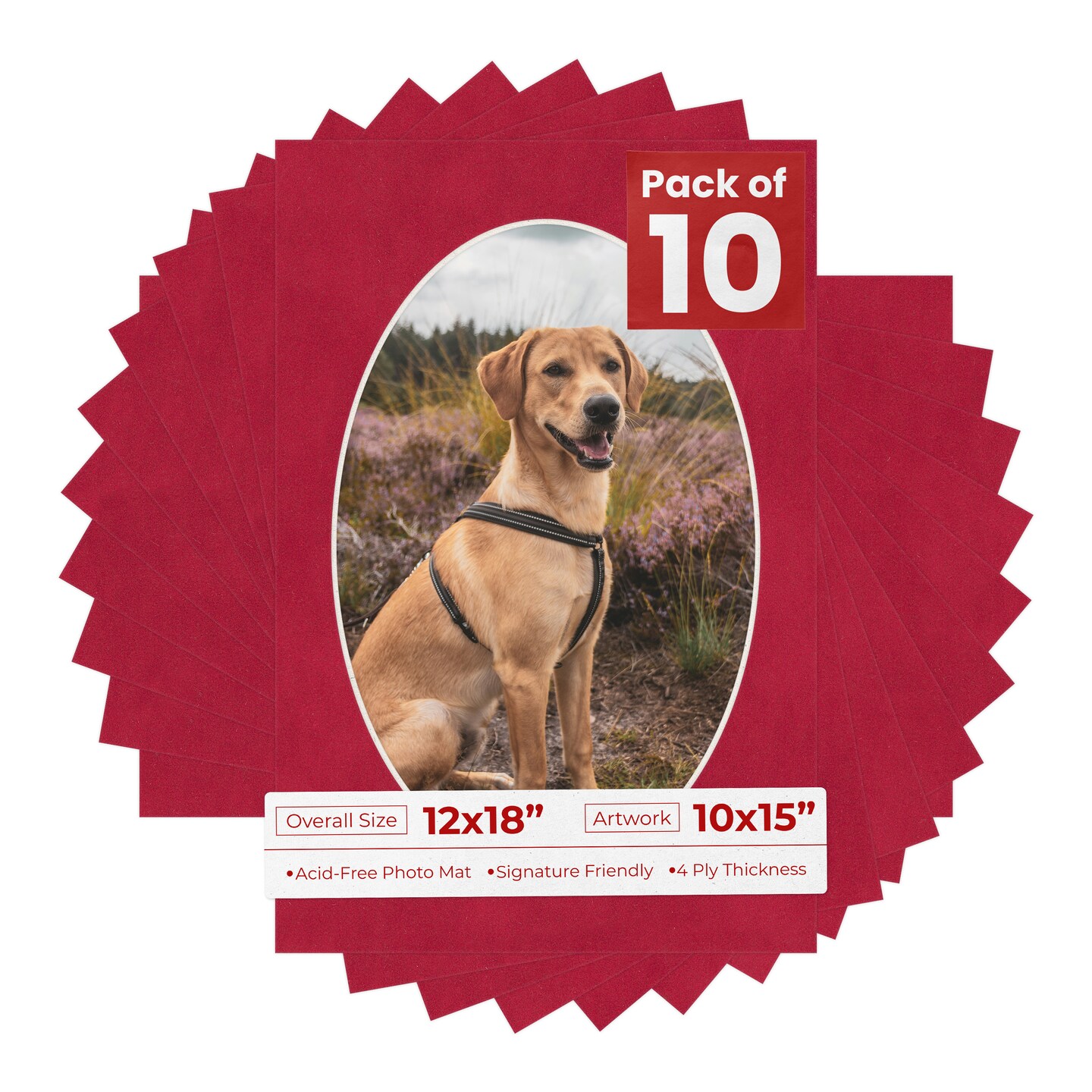 Red Suede Mat Board for 12x18 Frames - Oval Opening for 10x15 Photos