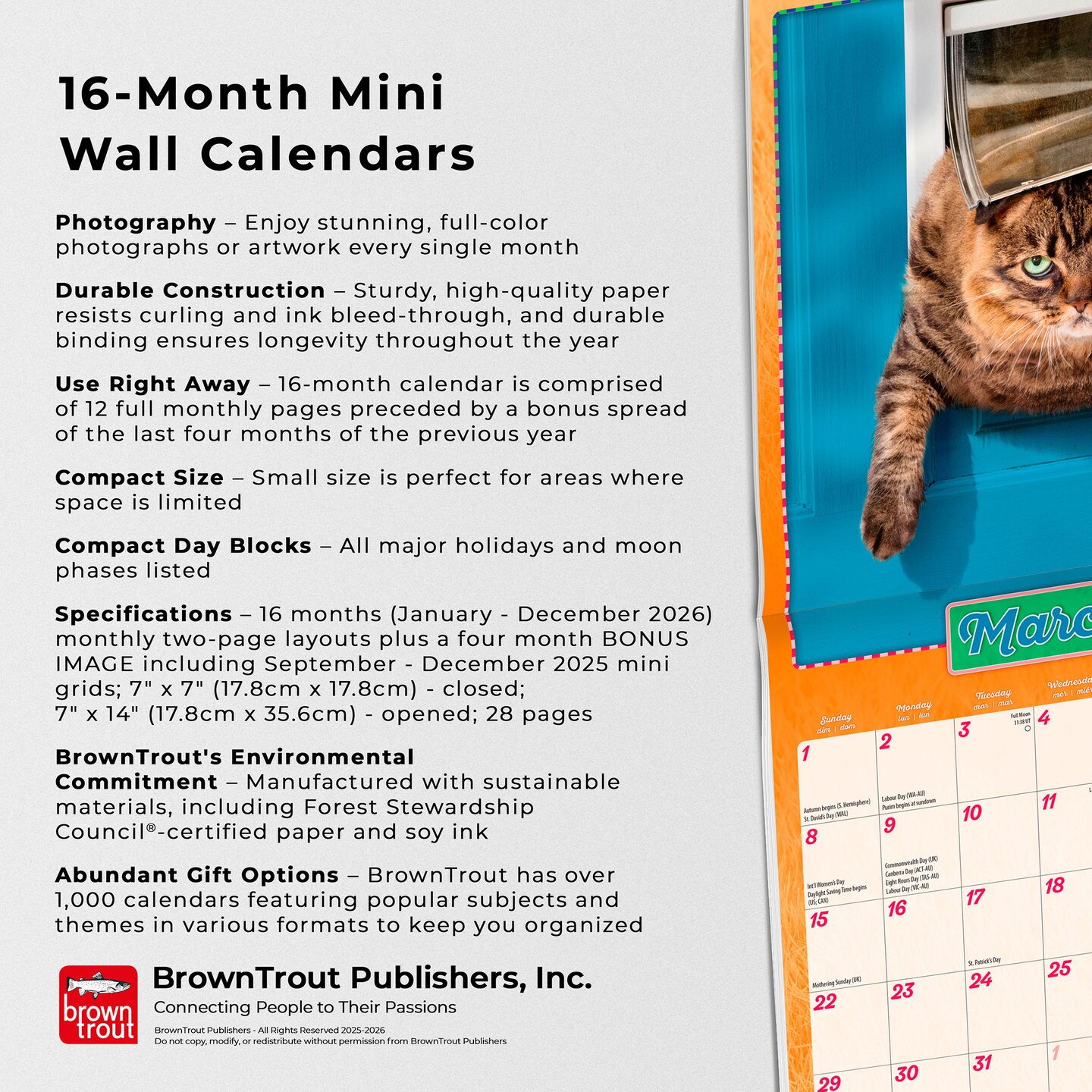 Avanti Cranky Kitties OFFICIAL | 2026 7 x 14 Inch (Hanging) Monthly Mini Wall Calendar