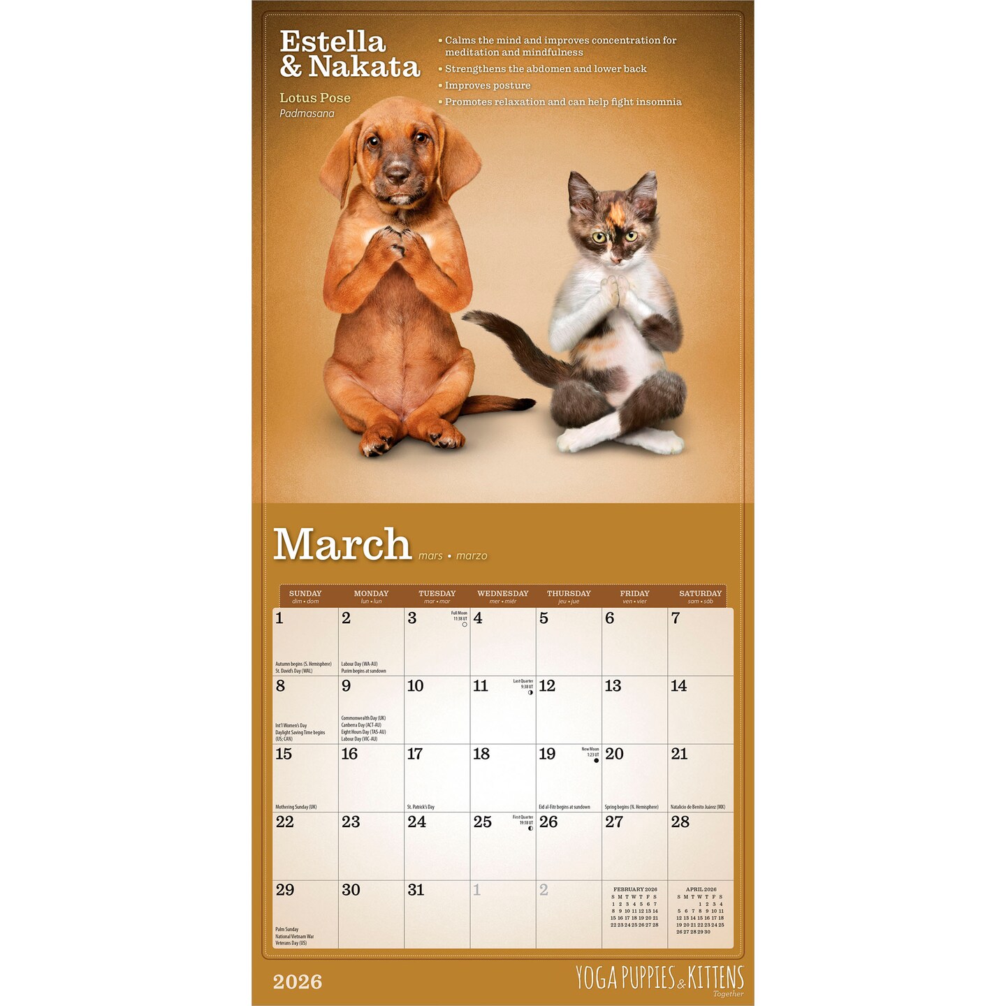 Yoga Puppies &#x26; Kittens Together OFFICIAL | 2026 7 x 14 Inch (Hanging) Monthly Mini Wall Calendar