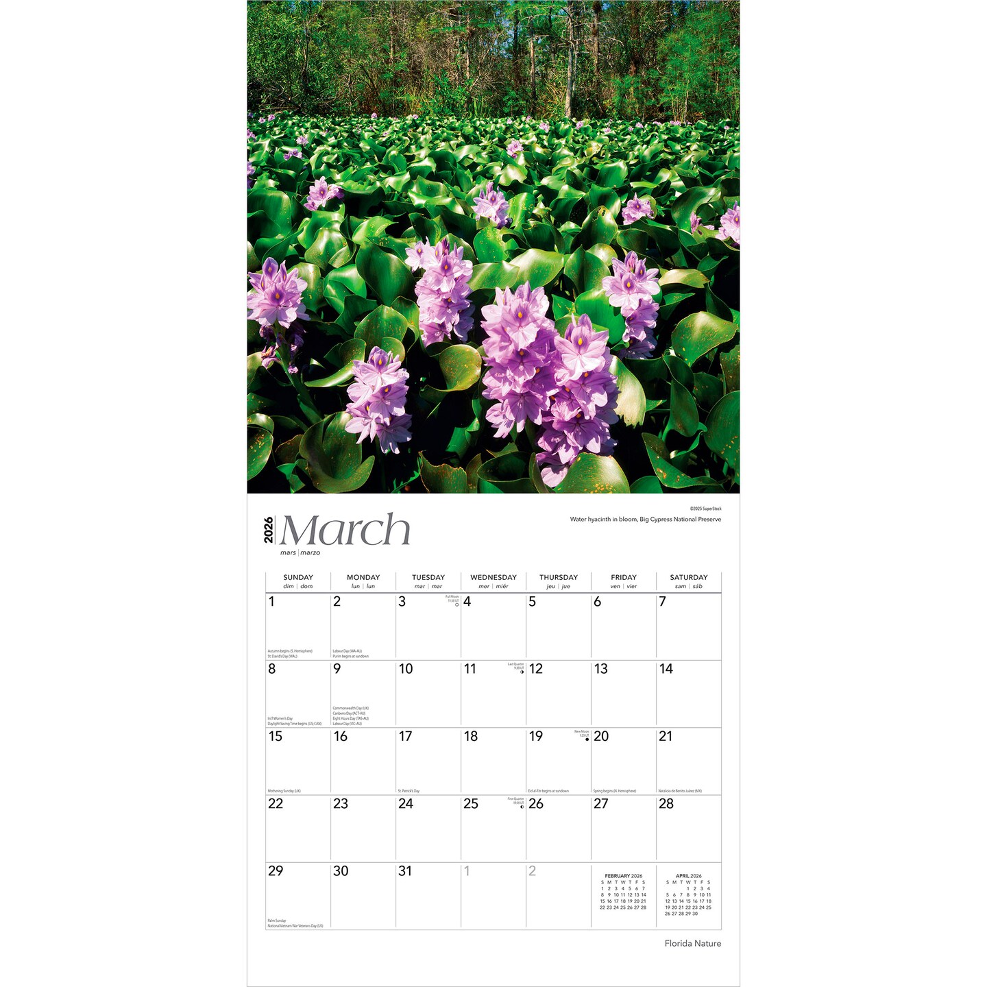 Florida Nature | 2026 12 x 24 Inch (Hanging) Monthly Square Wall Calendar | Plastic-Free