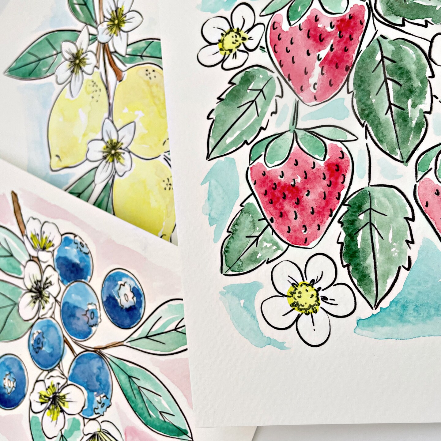 3PK Fruit Watercolor Paint Kit with Sketches, Brush and Palette