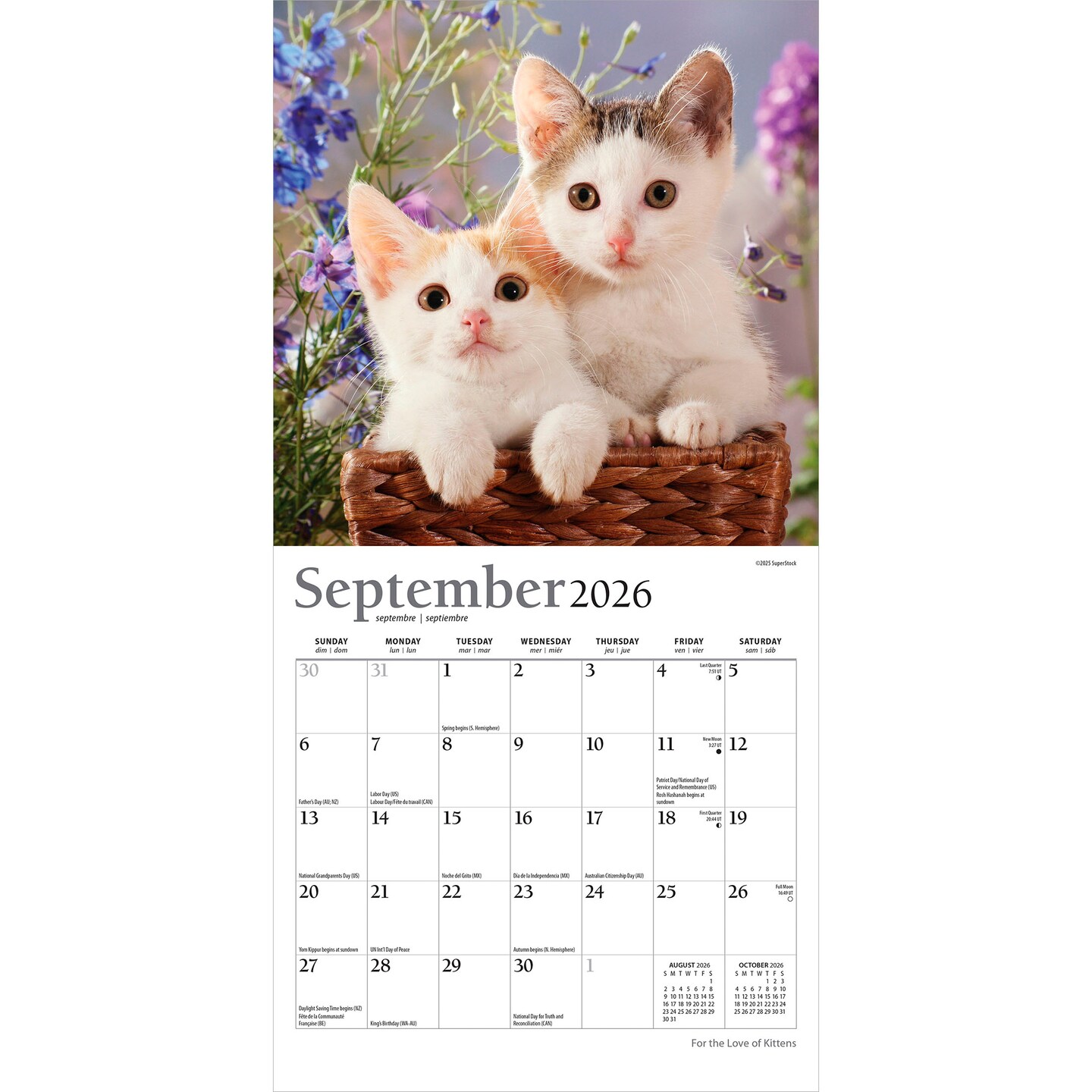 For the Love of Kittens | 2026 7 x 14 Inch (Hanging) Monthly Mini Wall Calendar | Foil Stamped Cover