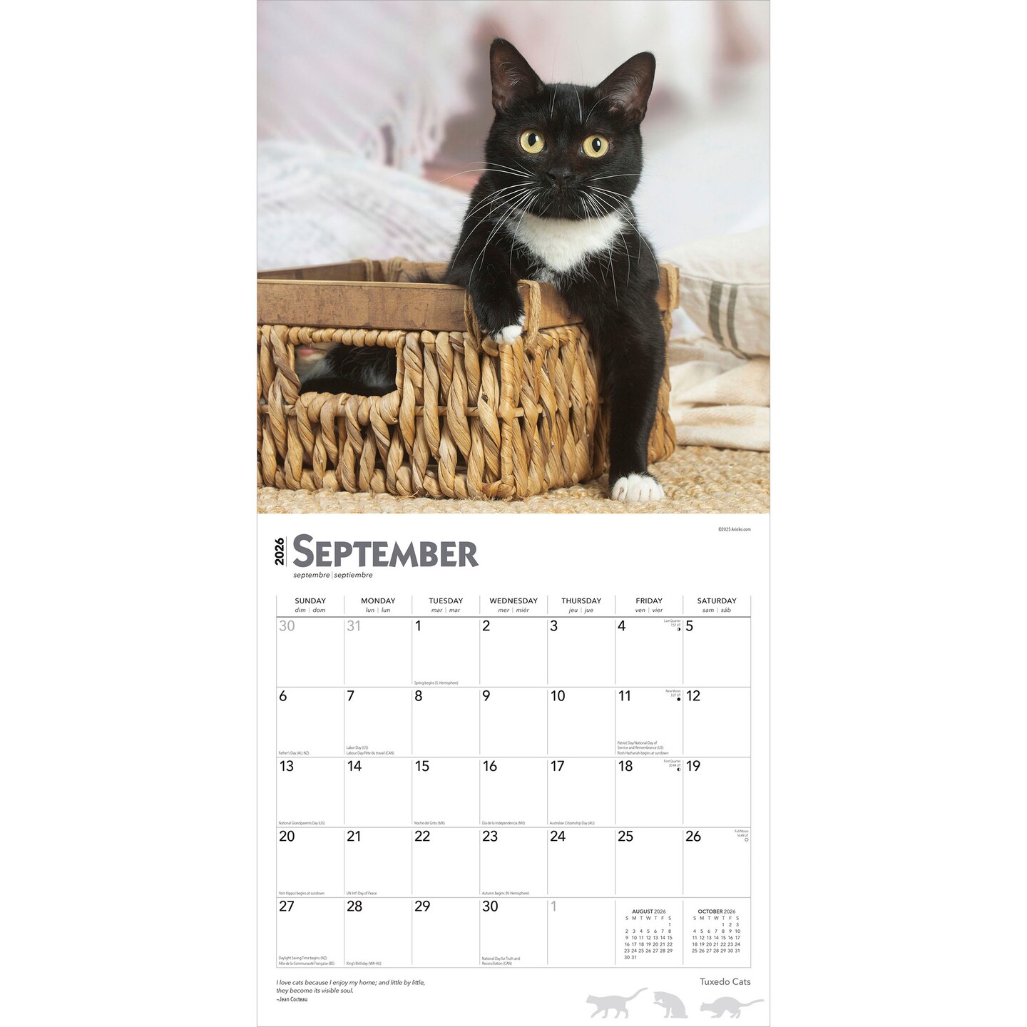 Tuxedo Cats | 2026 12 x 24 Inch (Hanging) Monthly Square Wall Calendar | Plastic-Free