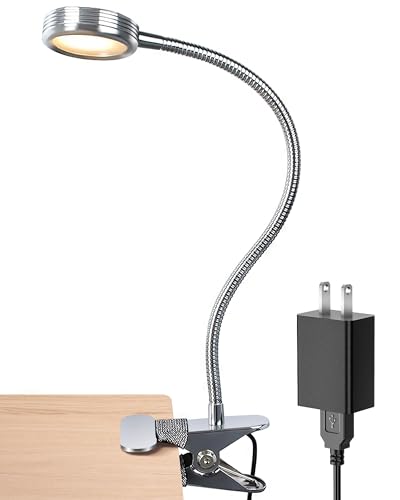 Clip on Light/Reading Light/Book Light Color Changeable/Night Light Clip on for Desk, Bed Headboard and Computers (Silver)