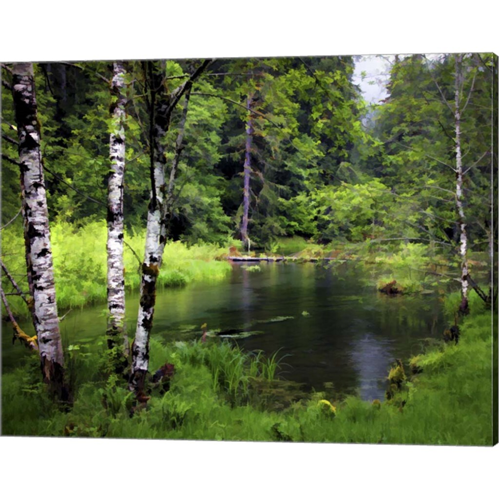 Olympic Pk, WA by J.D. McFarlan 20&#x22; x 16&#x22; Canvas Wall Art