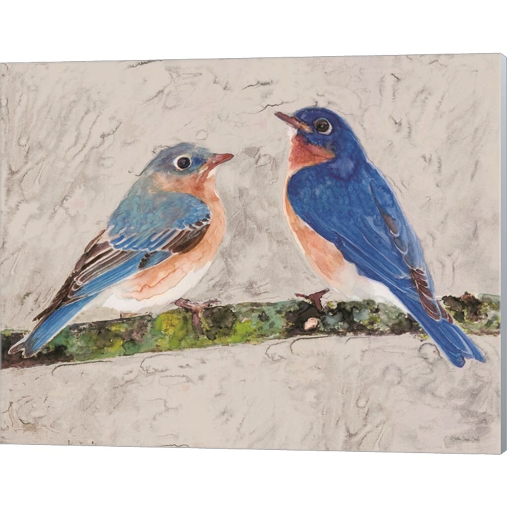 Eastern Bluebirds 2 by Stellar Design Studio 20" x 16" Canvas Wall Art