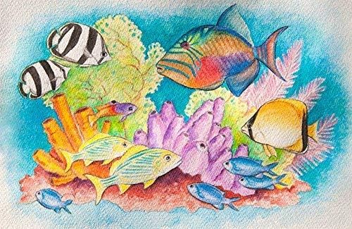 Watercolors Paint Pack, 36 Sets with Wood Brushes, 8 Washable Colors Each