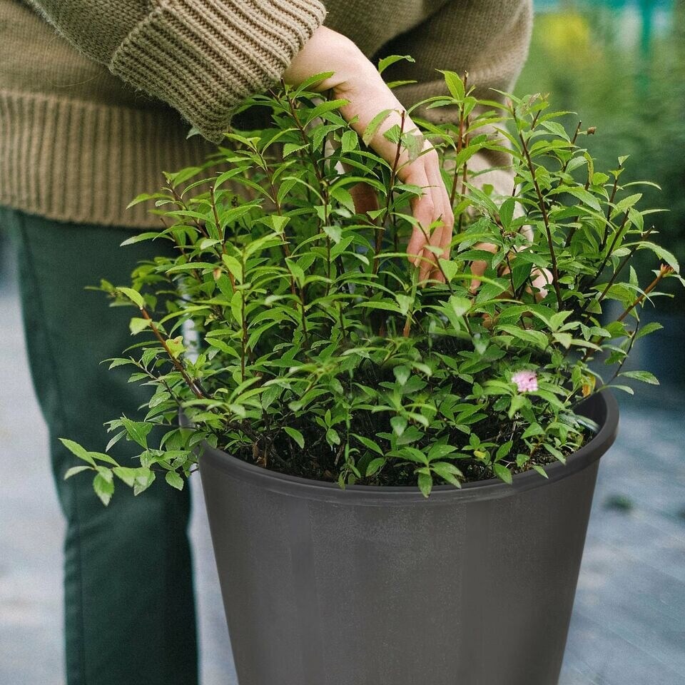 Heavy Duty Premium Black Plastic Nursery Plant Container Garden Planter Pot 3gal