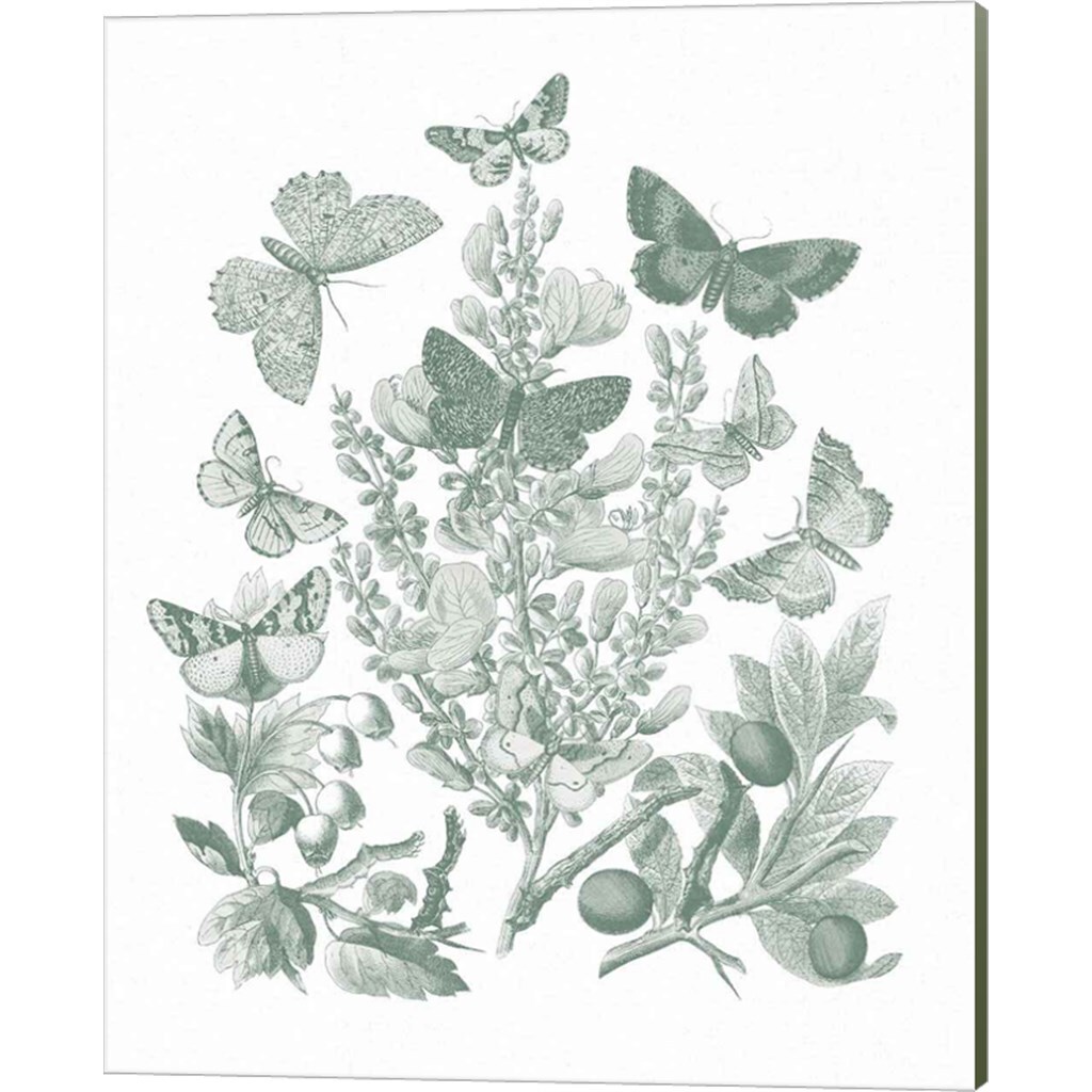Butterfly Bouquet II Sage by Wild Apple Portfolio 16" x 20" Canvas Wall Art