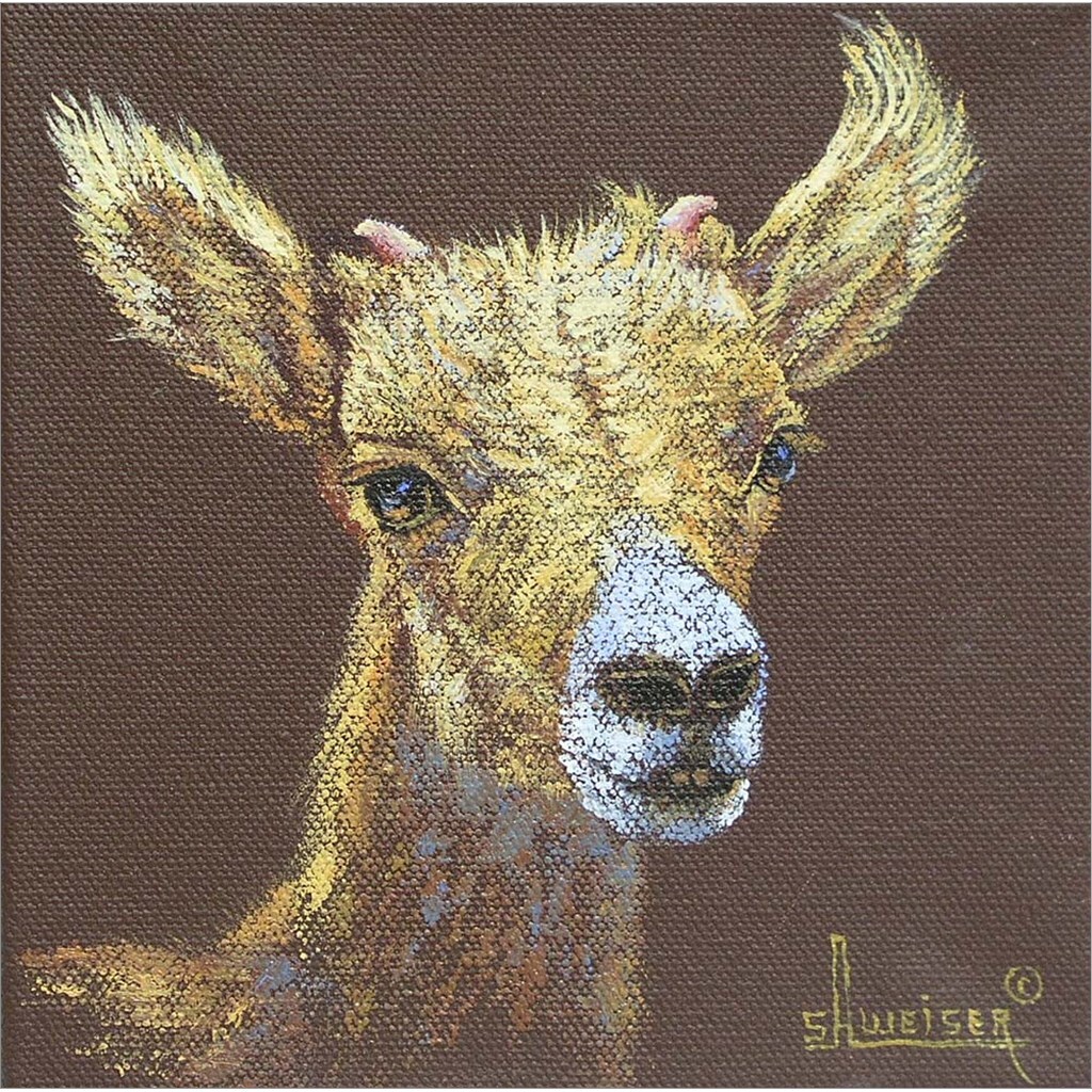 Little Bighorn by Sharon Weiser 13&#x22; x 13&#x22; Framed Wall Art