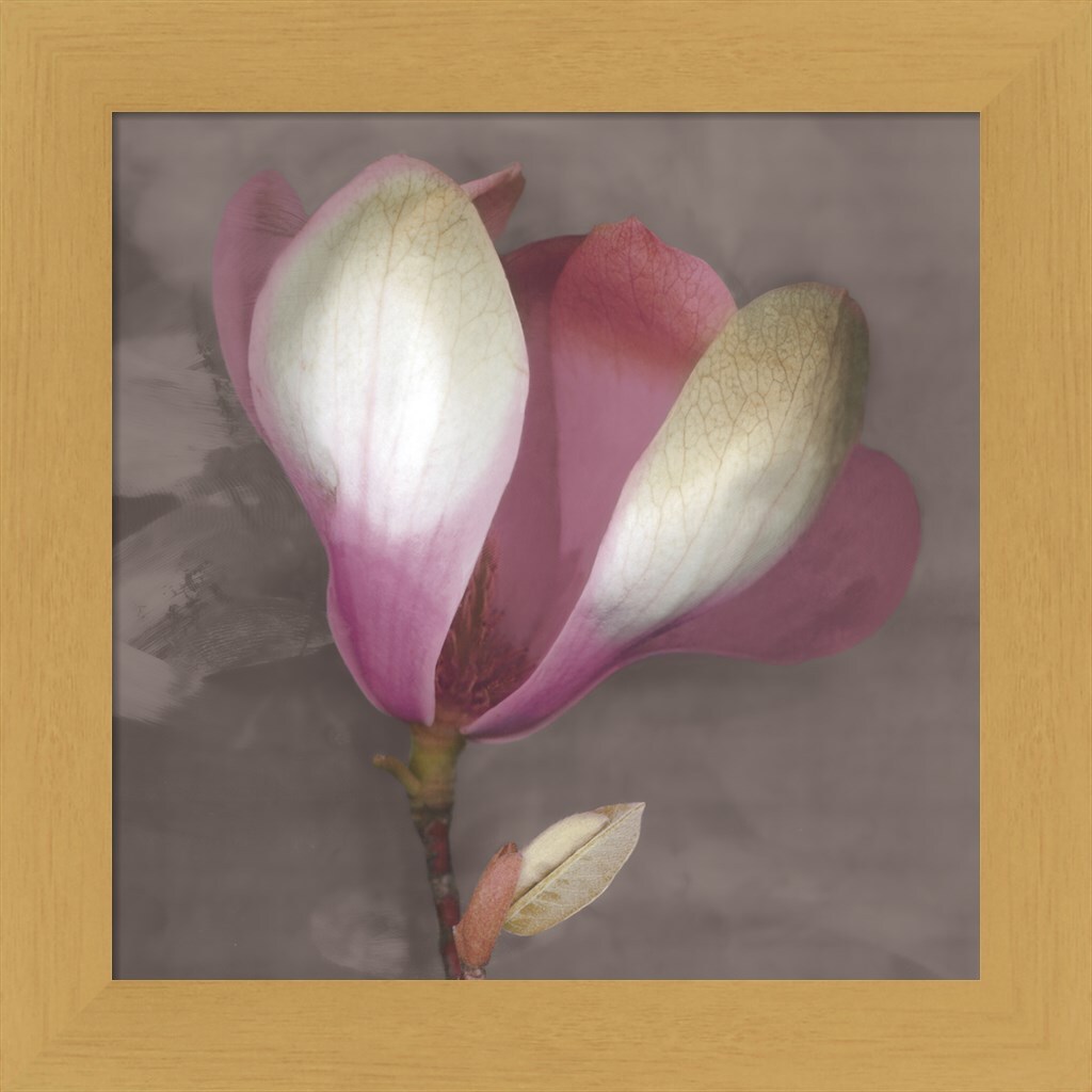 Magnolia by Erin Clark 13&#x22; x 13&#x22; Framed Wall Art