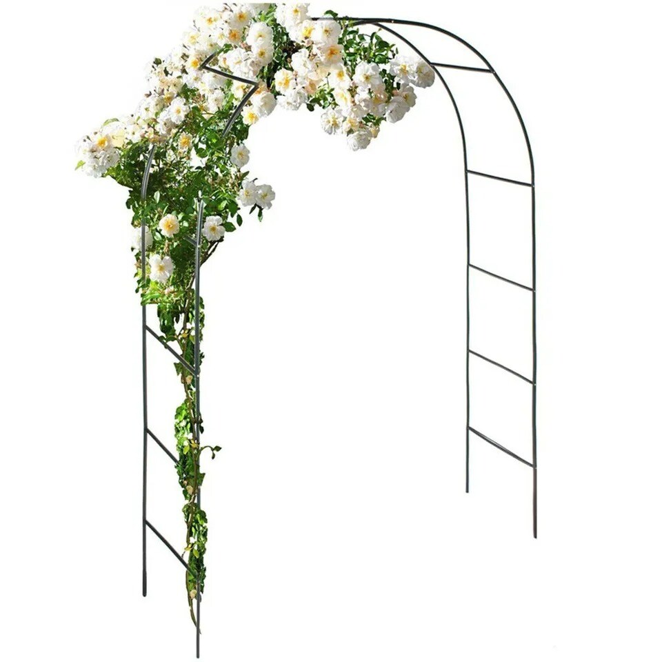 Outdoor Metal Black Wedding Arch Curved Garden Arbor for Climbing Plants Trellis