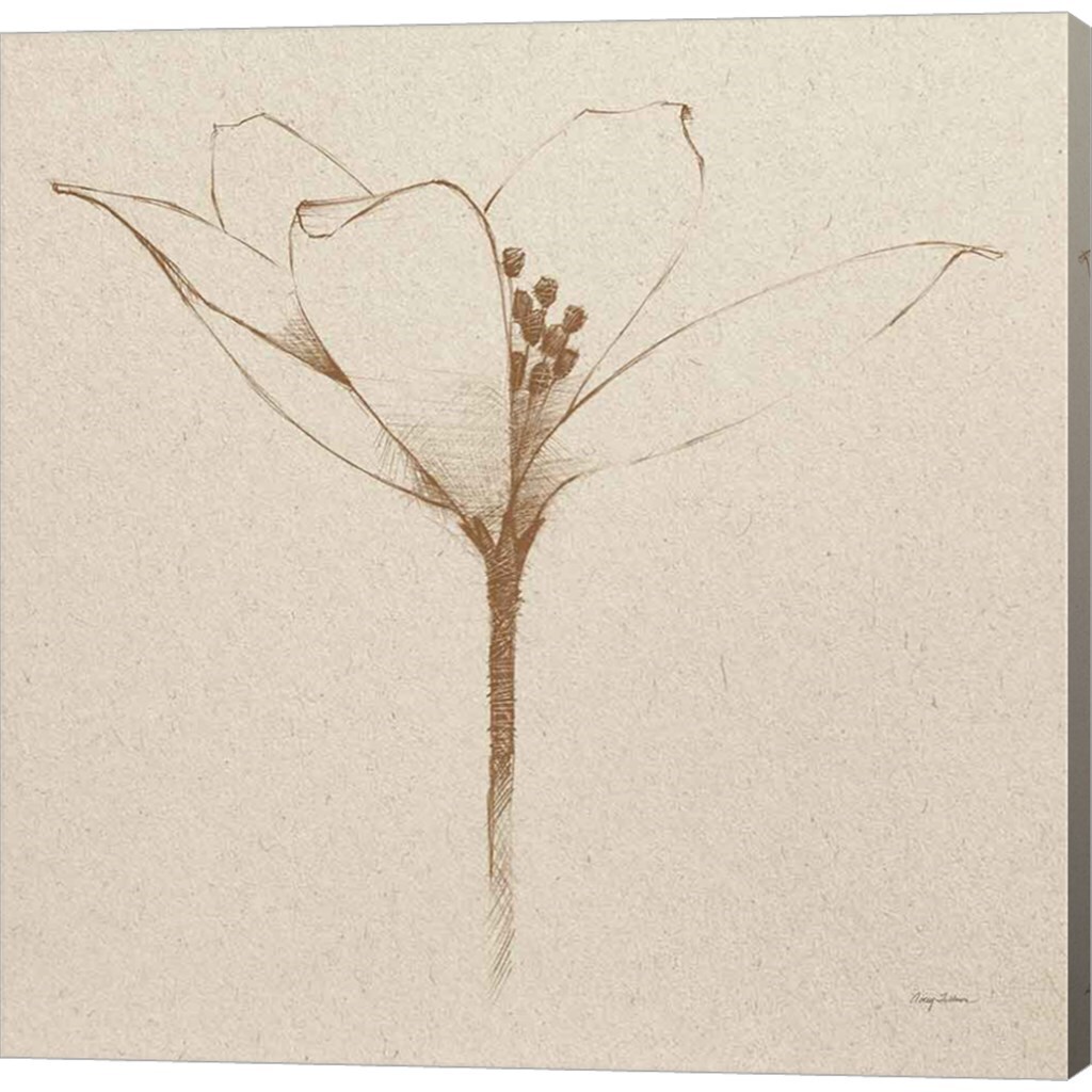 Modern Vintage Floral VI by Avery Tillmon 12" x 12" Canvas Wall Art