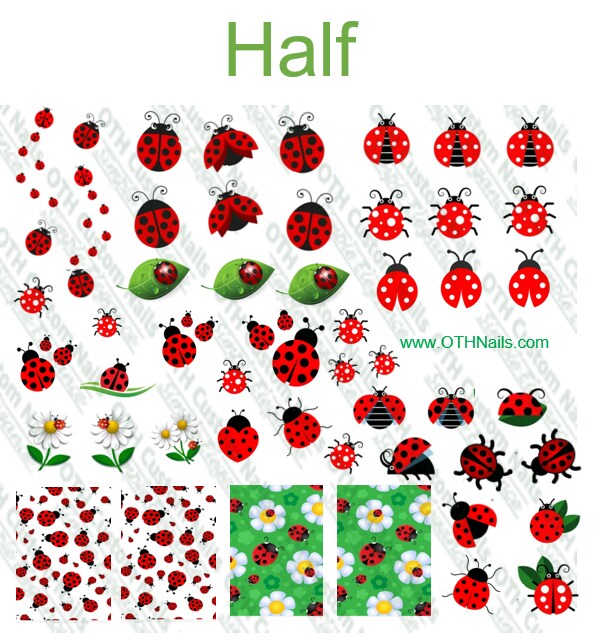 Cute Ladybug Water Slide Nail Decals