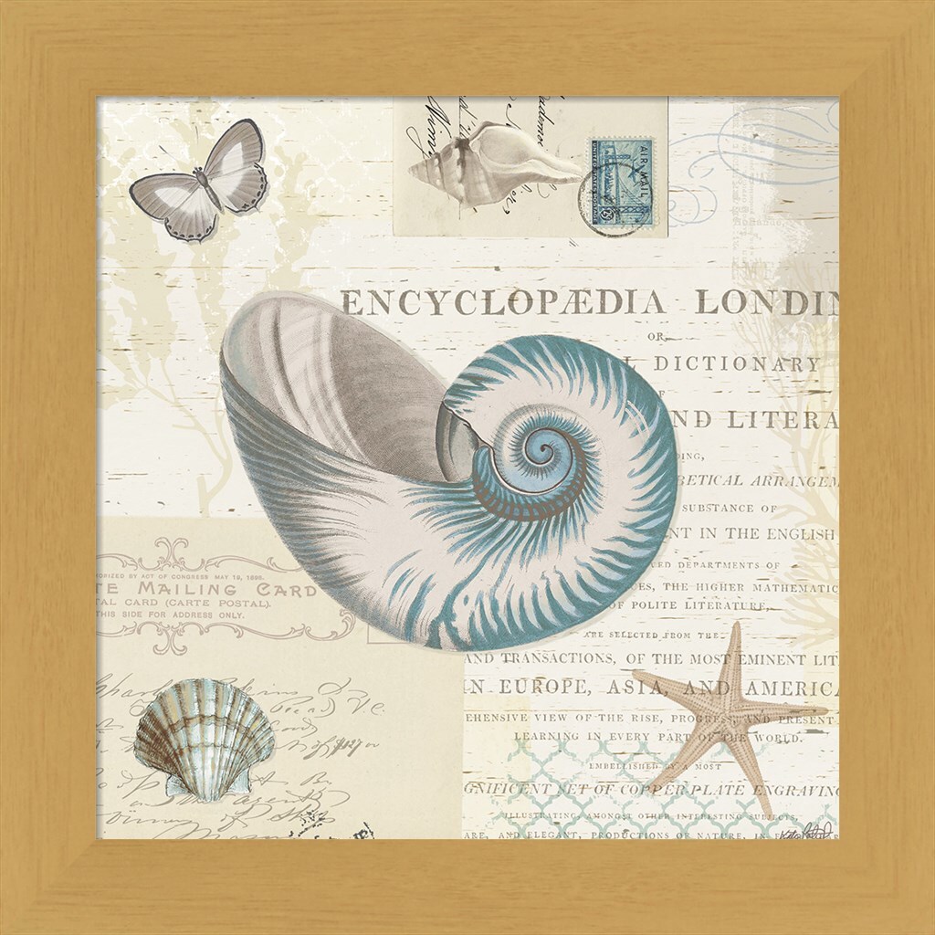 Beach Wonders III by Katie Pertiet 13&#x22; x 13&#x22; Framed Wall Art