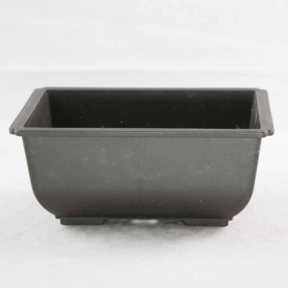 3 Rectangular Plastic Bonsai Training Pot, Succulent Planter 5.75"x 4.25"x 2.5"